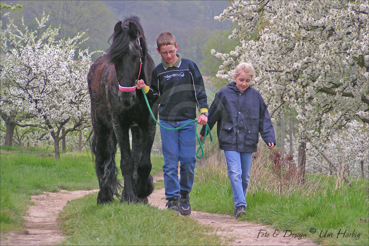 Friese/Kinder