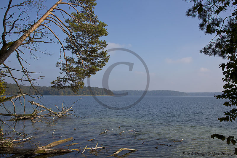 Stechlin- Werbellinsee