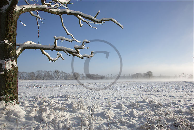 Winter_2014-2015